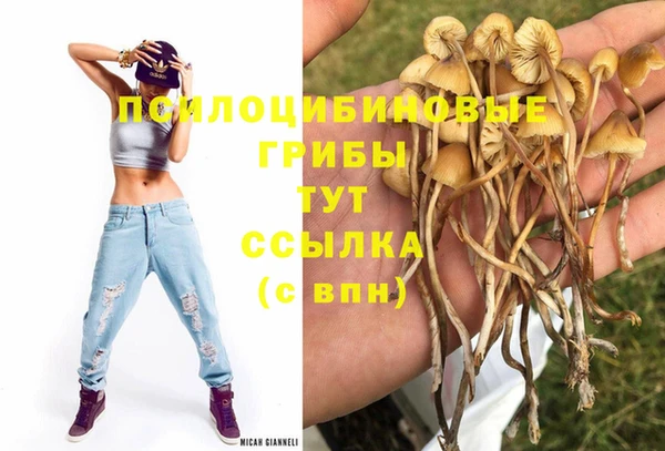 кокаин перу Новозыбков